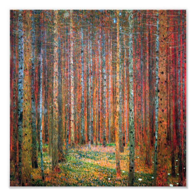 Fir Forest | Gustav Klimt | Photo Print (Front)
