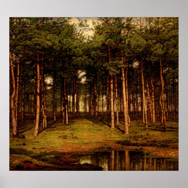 Fir Forest in Putte with Rabbits Jean  Lamorinière Poster (Front)