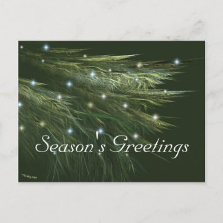 FIR FRONDS HOLIDAY POSTCARD