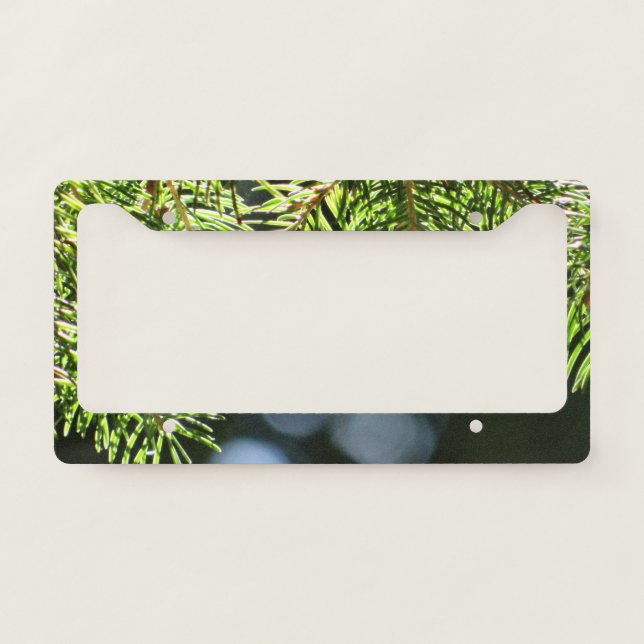 Fir pine needles with bokeh license plate frame (Front)