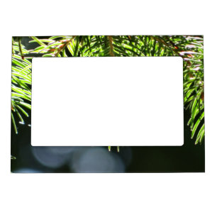 Fir pine needles with bokeh magnetic frame