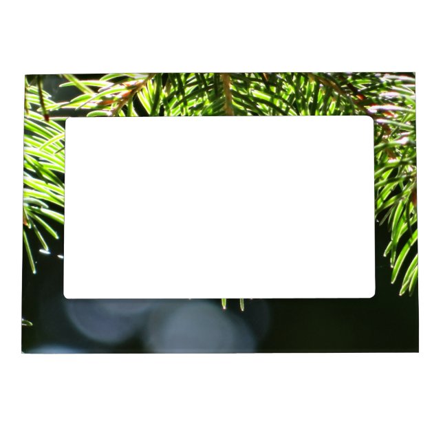Fir pine needles with bokeh magnetic frame (Front)