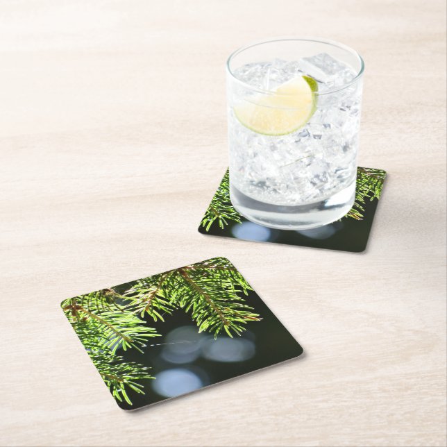 Fir pine needles with bokeh square paper coaster (Insitu)