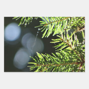 Fir pine needles with bokeh wrapping paper sheets
