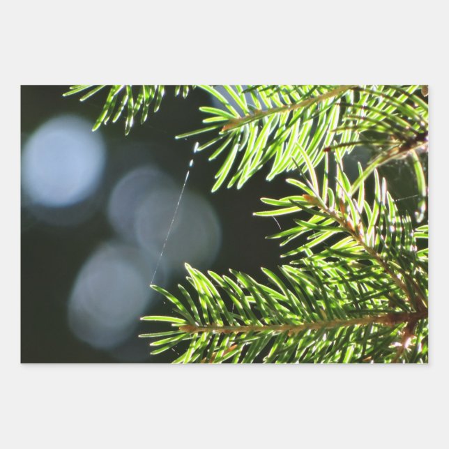 Fir pine needles with bokeh wrapping paper sheets (Front)