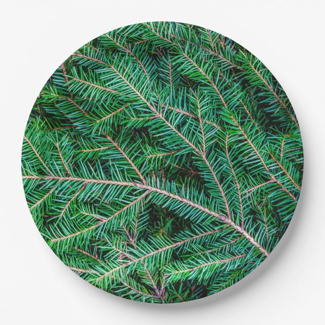 Fir tree branch paper plates (Front)