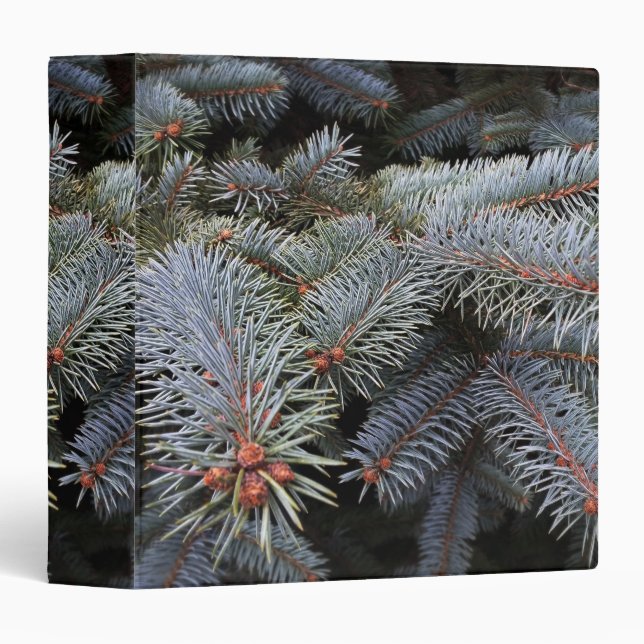 fir tree buds binder (Front/Spine)