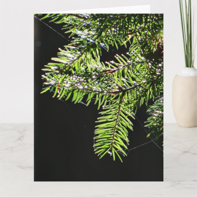 Fir tree card (Front)