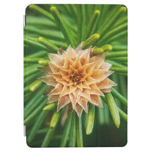 Fir tree geometry   iPad air cover