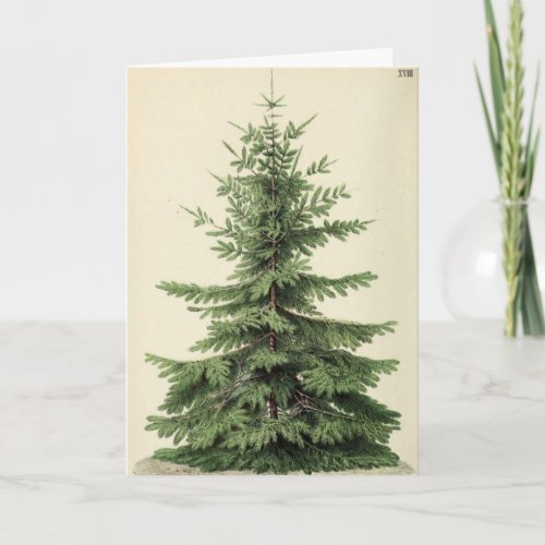 fir tree holiday card