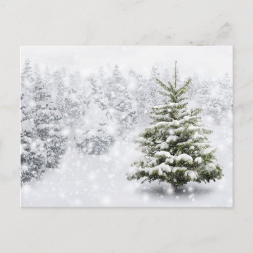 Fir Tree In Thick Snow Postcard