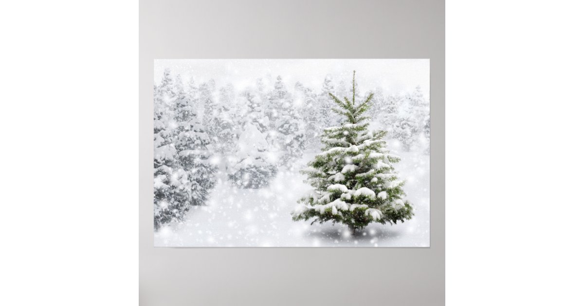 Fir Tree In Thick Snow Poster | Zazzle