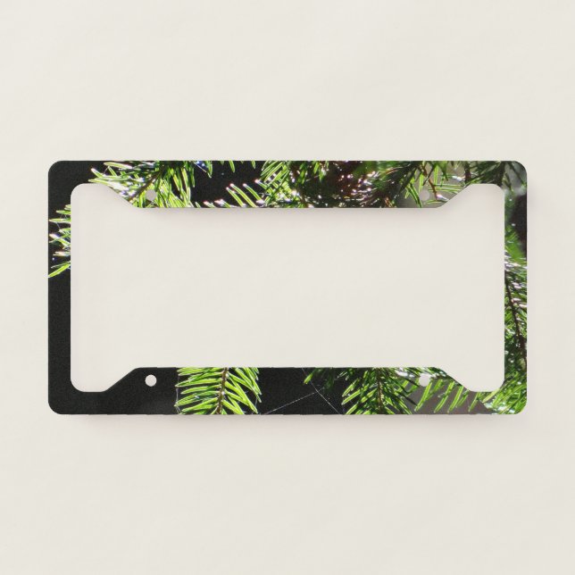 Fir tree license plate frame (Front)