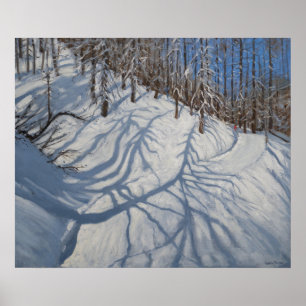 Fir Tree Shadows Tignes 2009 Poster