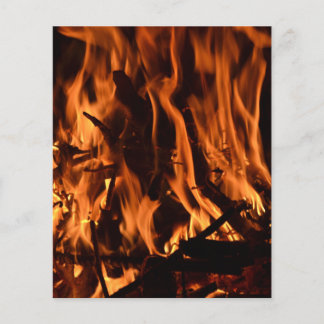 fire-432478 fire wood forest nature orange black b flyer