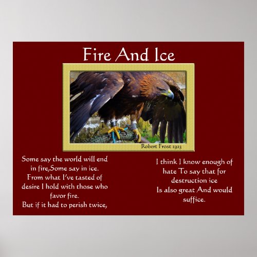 Fire And Ice Bald Eagle On A Rope  Posters