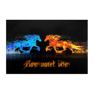 Fire and Ice Horses  Acrylic Print