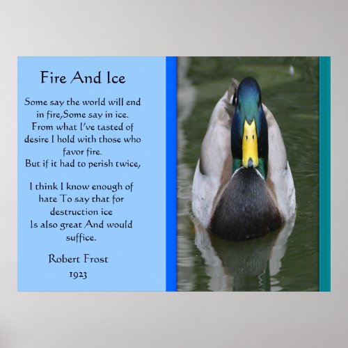 Fire And Ice Mallard Duck In Water Posters