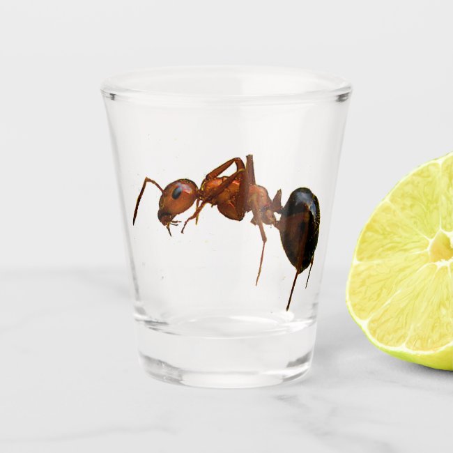 Fire Ant Animal Shot Glass
