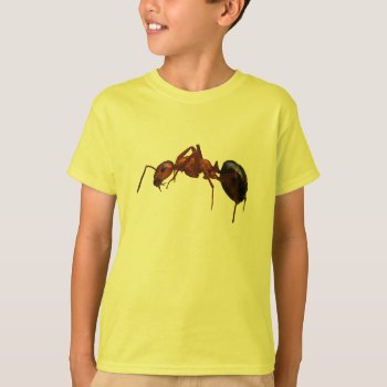 Fire Ant T-shirt by Bebops at Zazzle