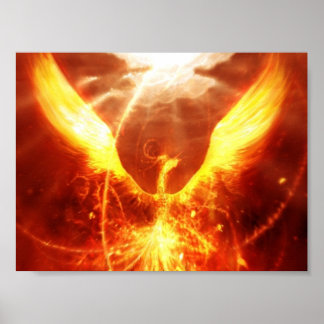 Fire bird poster