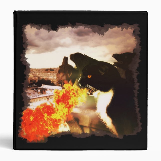 Fire Breathing Dragon Cat binder (Front)