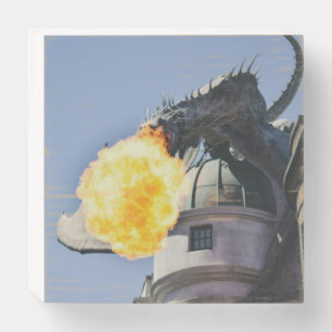 Fire Breathing Dragon Statue Wooden Box Sign