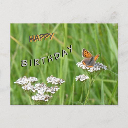 Fire Butterfly Cust Happy Birthday Postcard
