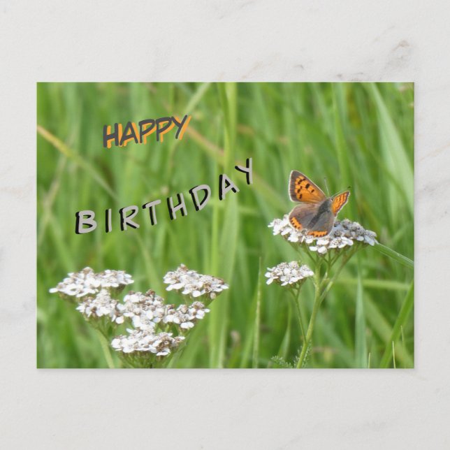 Fire Butterfly Cust. Happy Birthday Postcard (Front)