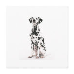 Fire Dog Invitations