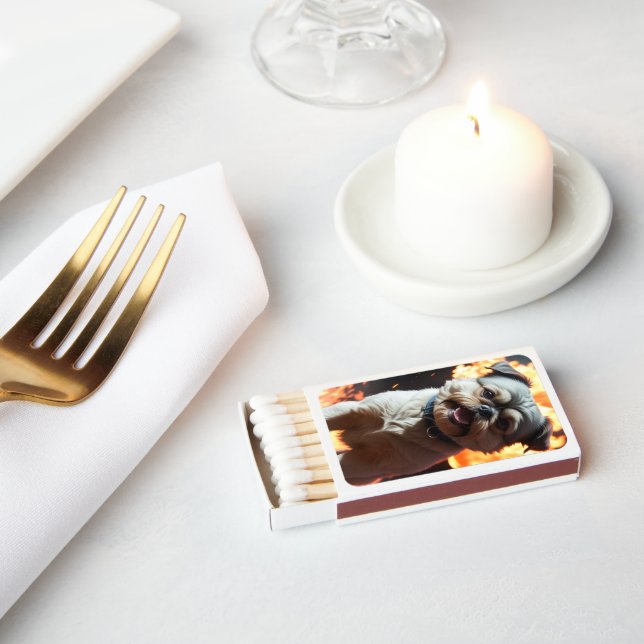 Fire Dog On Match Box (Insitu)