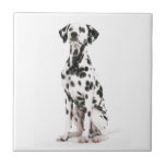 Fire Dog Tile
