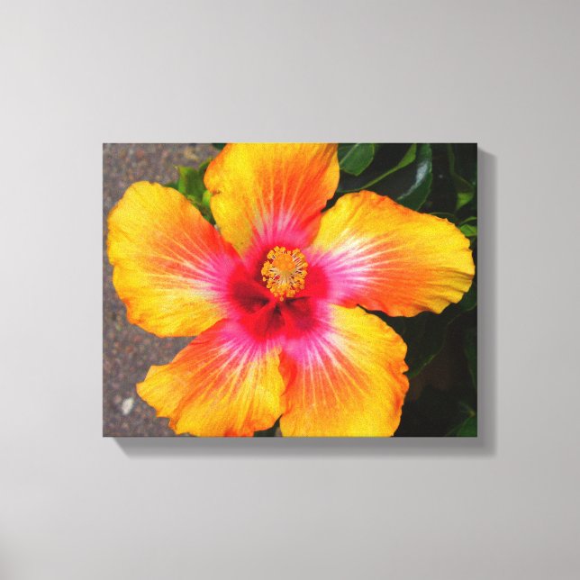 Fire Flower Canvas Print (Front)