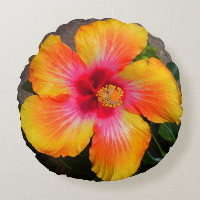 Fire Flower Pillow (Front)