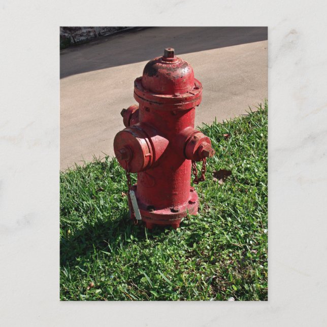 Fire hydrant postcard (Front)