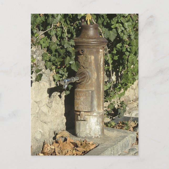 Fire hydrant postcard (Front)