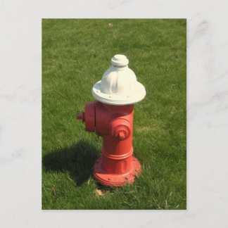 Fire Hydrant Postcard! Postcard