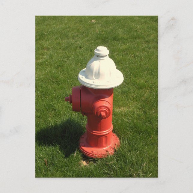 Fire Hydrant Postcard! Postcard (Front)