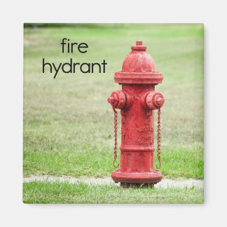 Fire Hydrant Refrigerator Magnet