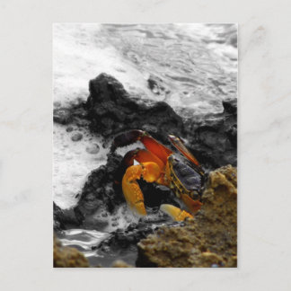 Fire in the sea postcard