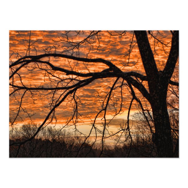 Fire in the Winter Morning Sky Photo Print (Front)