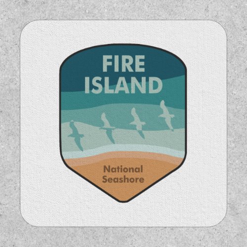 Fire Island National Seashore New York Seagulls Patch