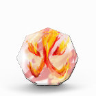 fire [japanese]
