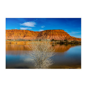 Fire Lake Vista Acrylic Wall Art