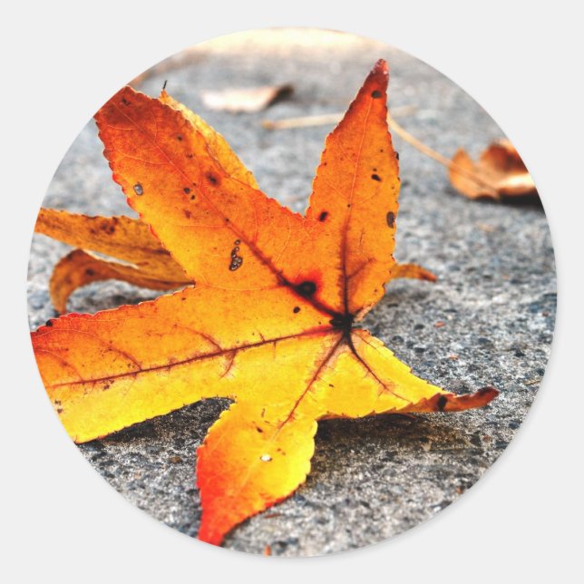 Fire Leaf Classic Round Sticker (Front)