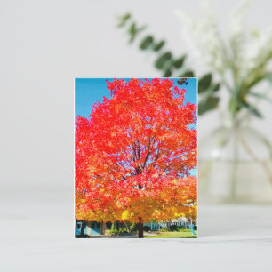 Fire Of Life, Bright, Colorful, Tree In Fall Note Card