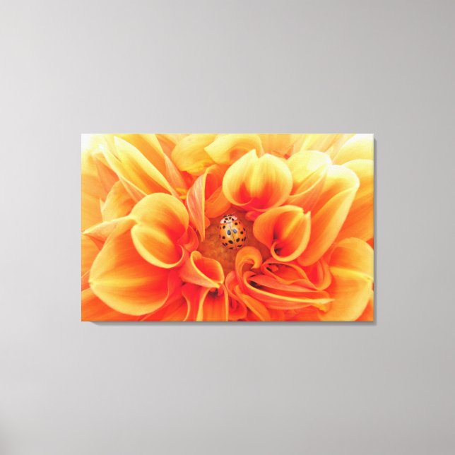 Fire Orange Dahlia Flower with lady bug Canvas Print (Front)