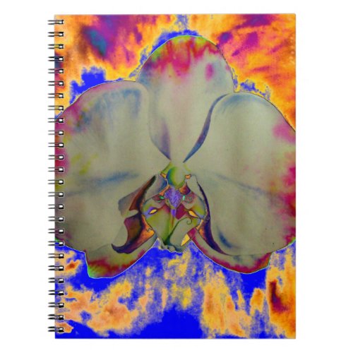 Fire Orchid abstract tropical floral painting Notebook