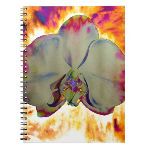 Fire Orchid abstract vibrant watercolor floral Notebook