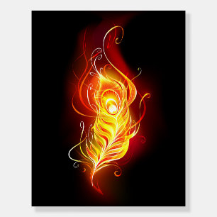 Fire Peacock Feather Foam Board